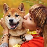 How Safe Are Dog Kisses? Dog Kisses