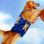 How are Dogs Trained to Act in Movies? dogs in movies