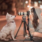 How to Make Perfect Picture From Your Dog Photographing dog