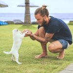 These training mistakes will ruin your friendship with your dog! how to train a puppy