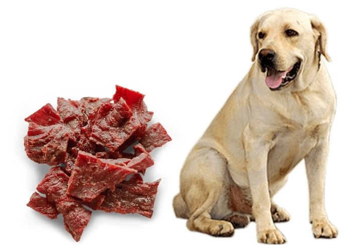 Can dogs eat red meat hot sale