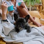 My Dog Ate Chocolate! What to Do When Your Dog Eats Something Toxic My Dog Ate Chocolate! What to Do When Your Dog Eats Something Toxic